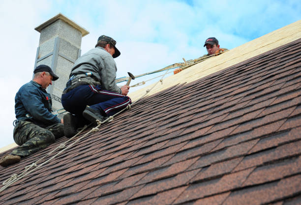 Best Gutter Installation and Roofing  in Pine Lawn, MO